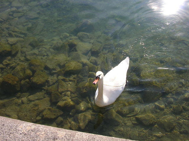 DSCN3383