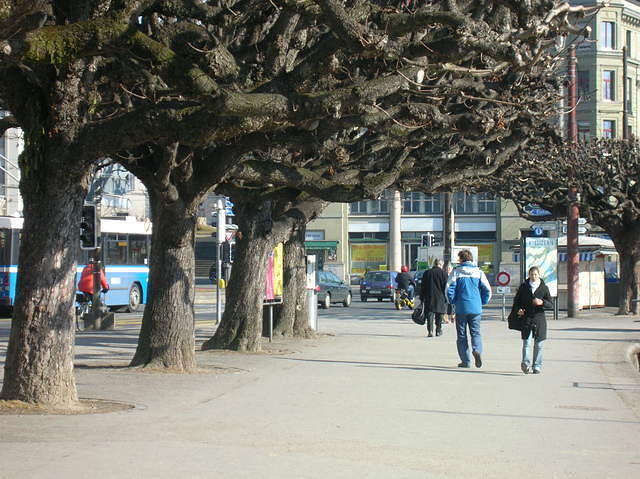 DSCN3387