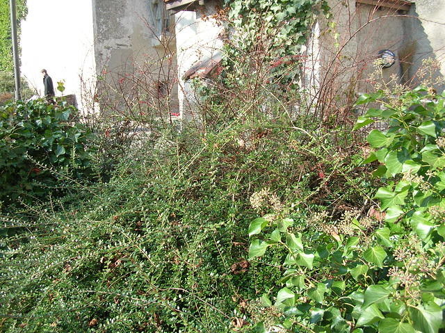 DSCN3392