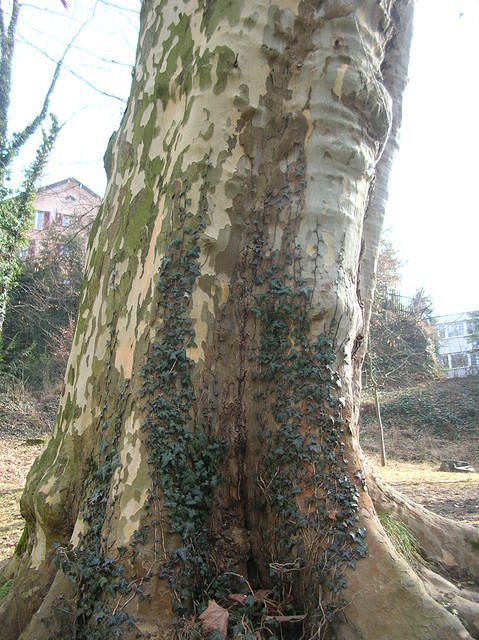 DSCN3404