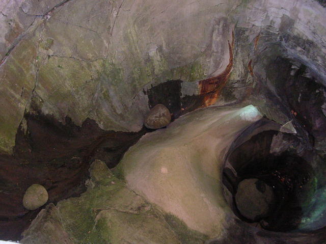 DSCN3406