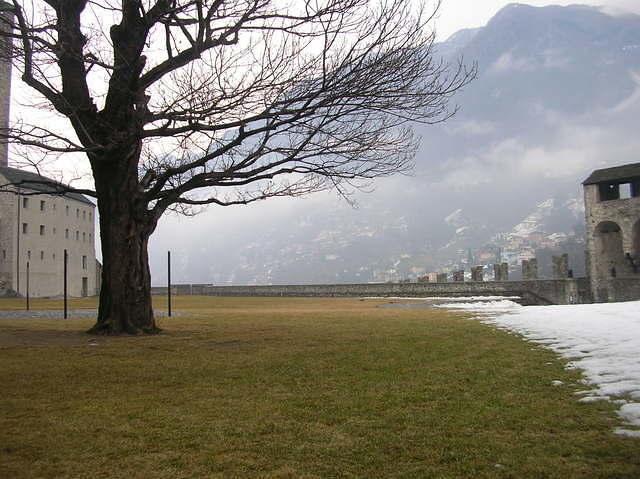 DSCN3514