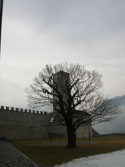 DSCN3515