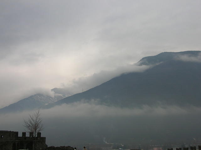 DSCN3517