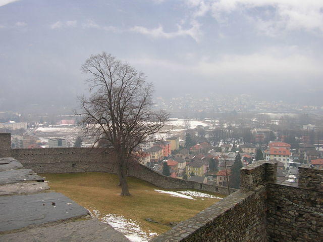 DSCN3527