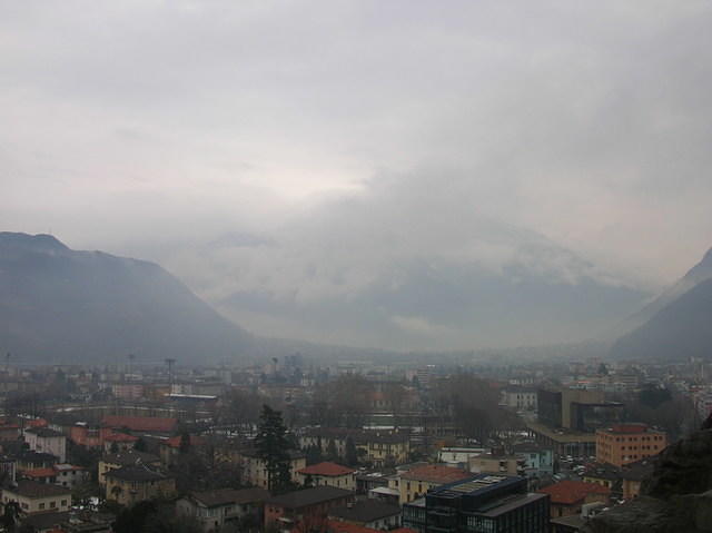 DSCN3536