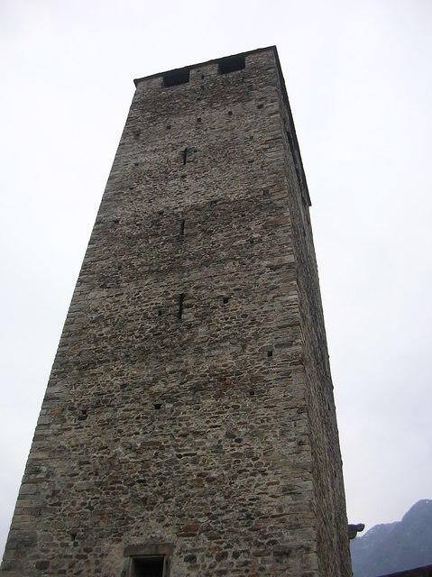 DSCN3545