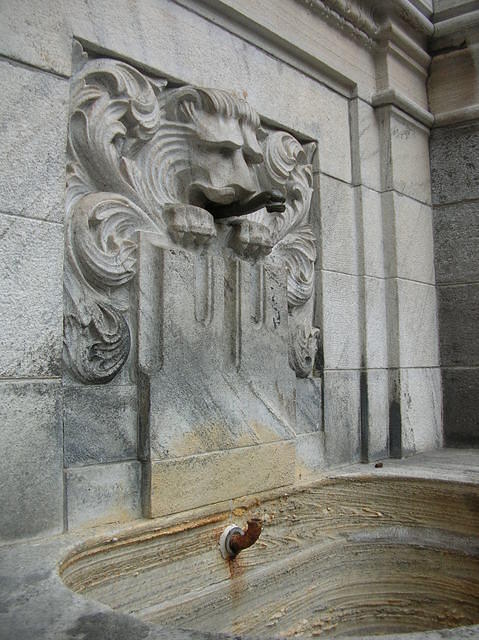 DSCN3557