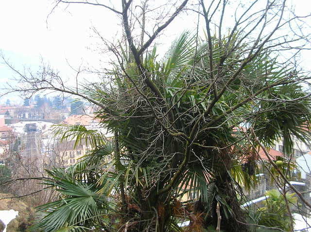 DSCN3568