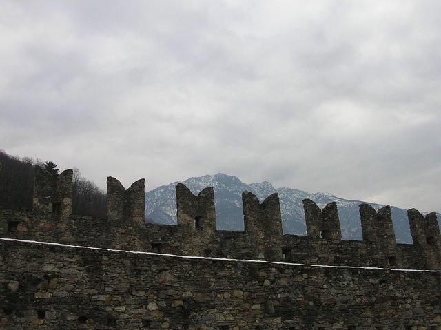 DSCN3571
