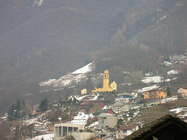 DSCN3582