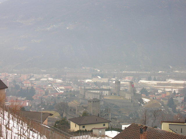 DSCN3602