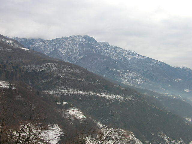 DSCN3613