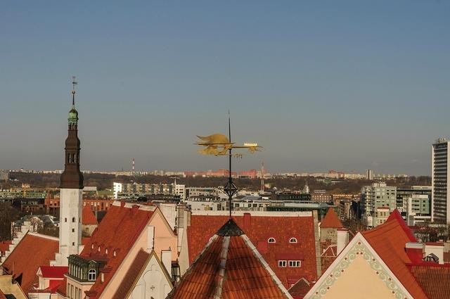  DSC5770