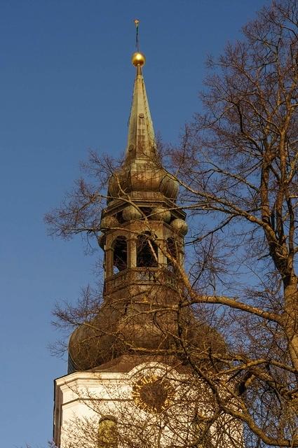  DSC5833