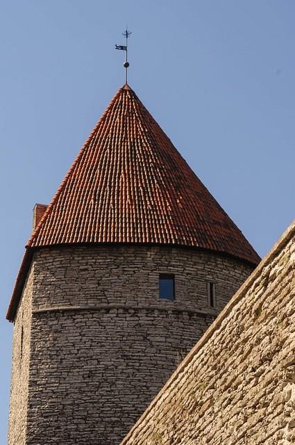  DSC6042