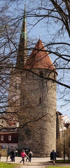 Untitled Panorama12 894481