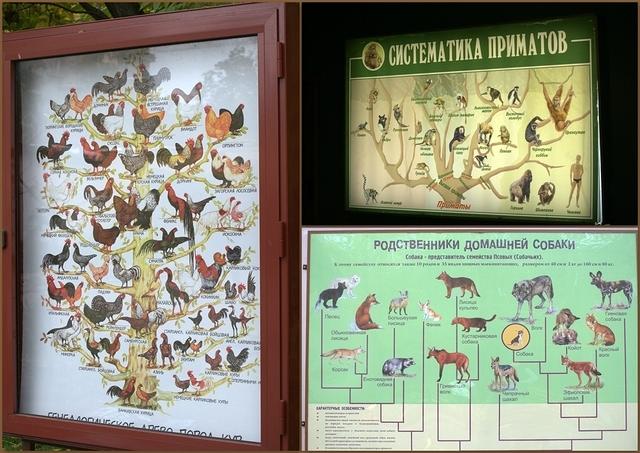 Zoo2