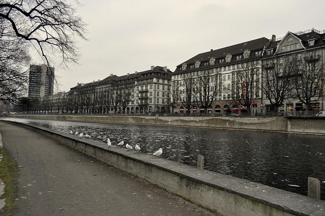  DSC1080