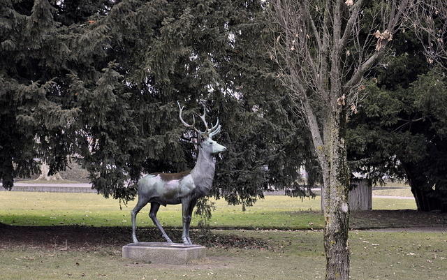  DSC1082