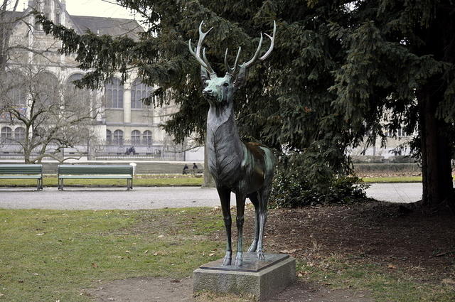 DSC1084