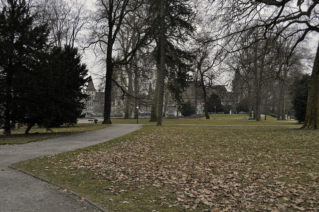  DSC1086