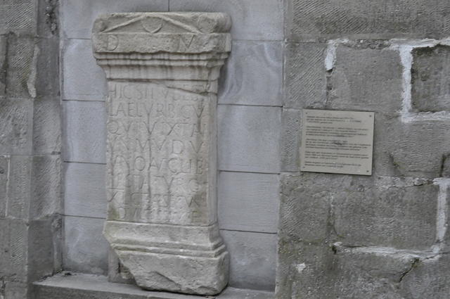  DSC1176
