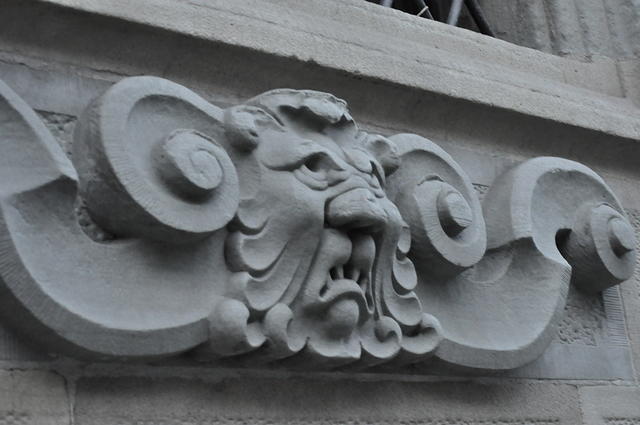  DSC1231