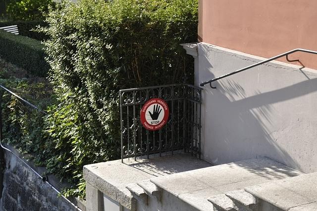  DSC5681