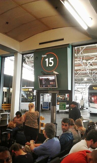 IMAG1415