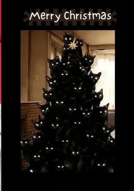 Screenshot 20251212 145227 Temu