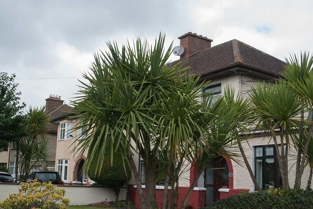 DSC 3811