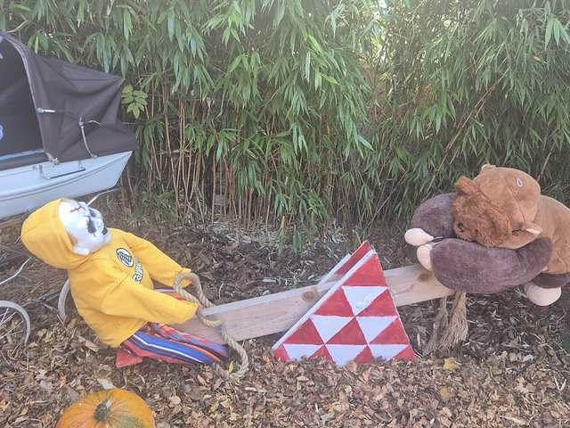 571018982 1123150210020954 5960722306038063113 n