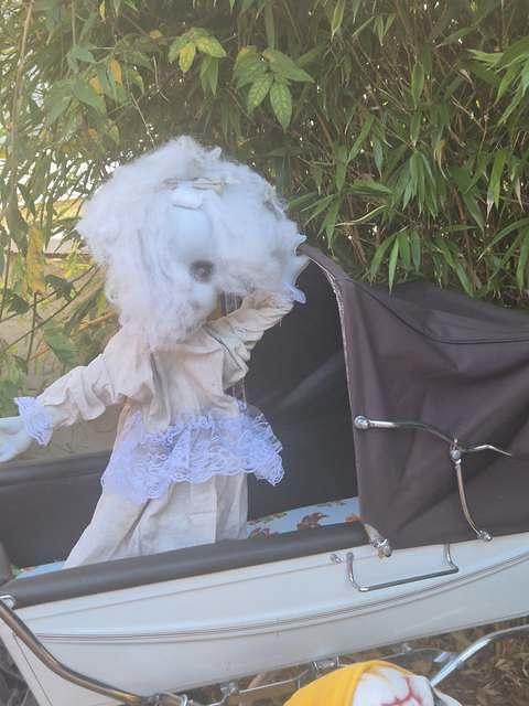 571195304 1123150503354258 3275307251429251941 n