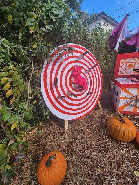 571250558 1123150993354209 3116644156363979910 n