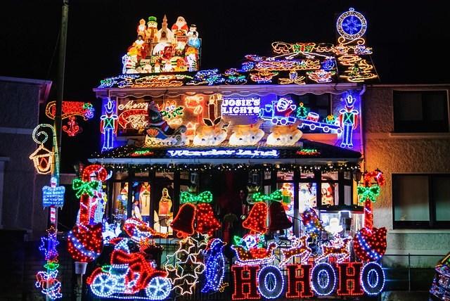 DSC 6687