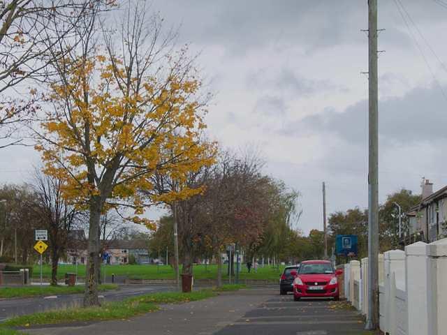 P1030314