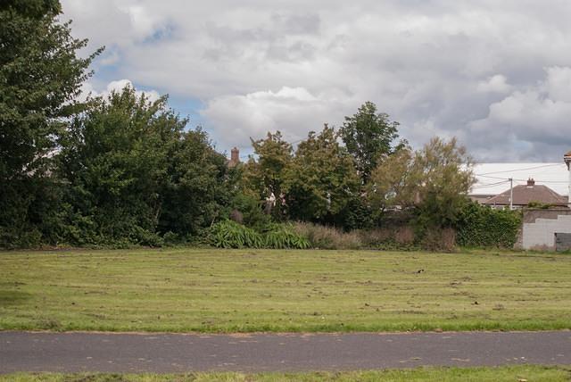 DSC 2987