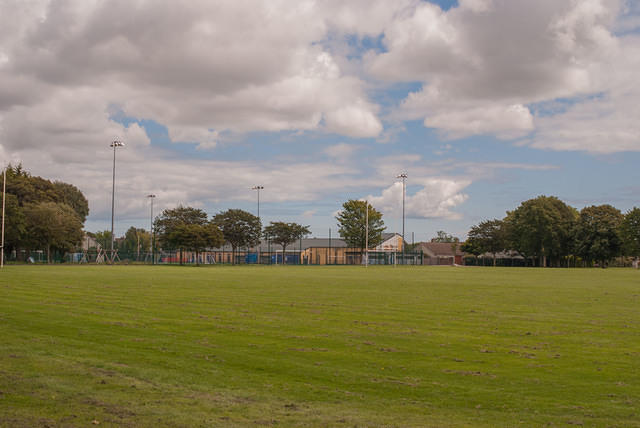 DSC 3000