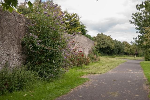 DSC 3001