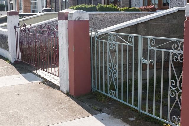 DSC 4681