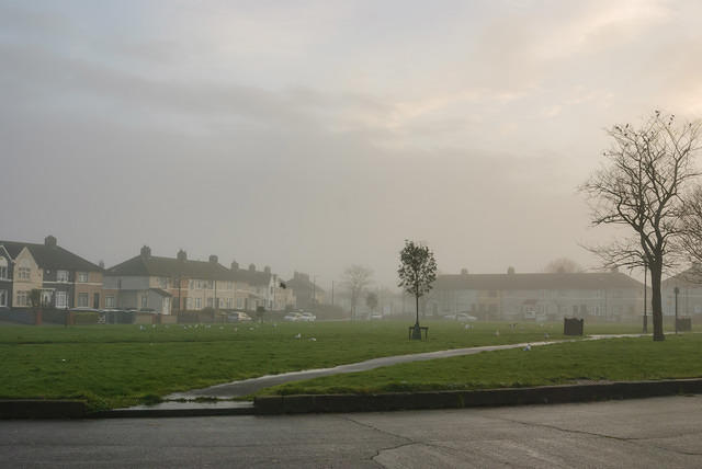 DSC 7227