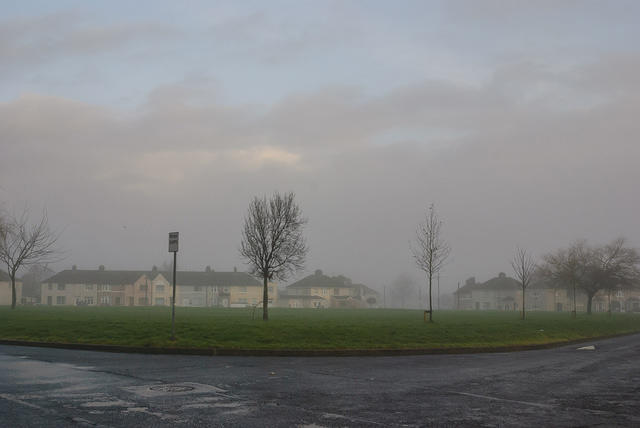 DSC 7236