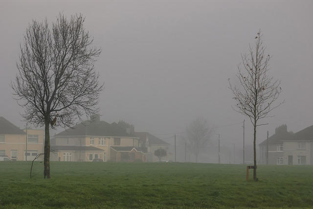 DSC 7237