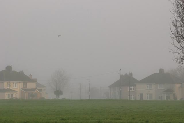 DSC 7239