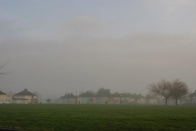 DSC 7240