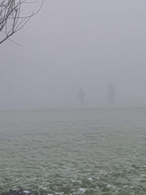 IMG-20221212-WA0000