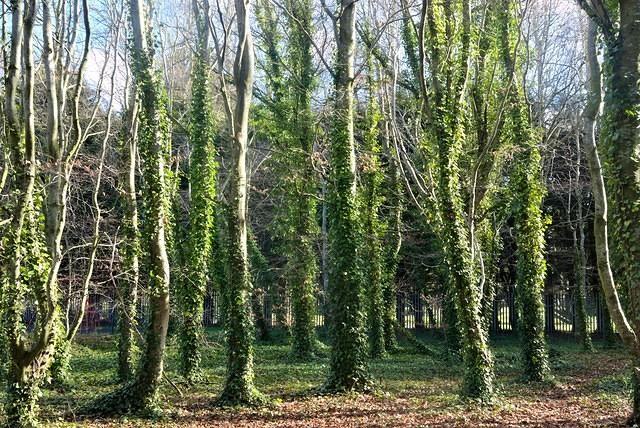 DSC 0759