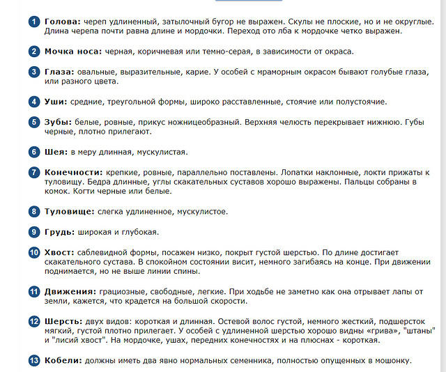 Fullscreen capture 20082021 193405.bmp
