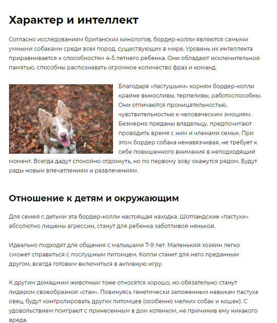 Fullscreen capture 20082021 202558.bmp